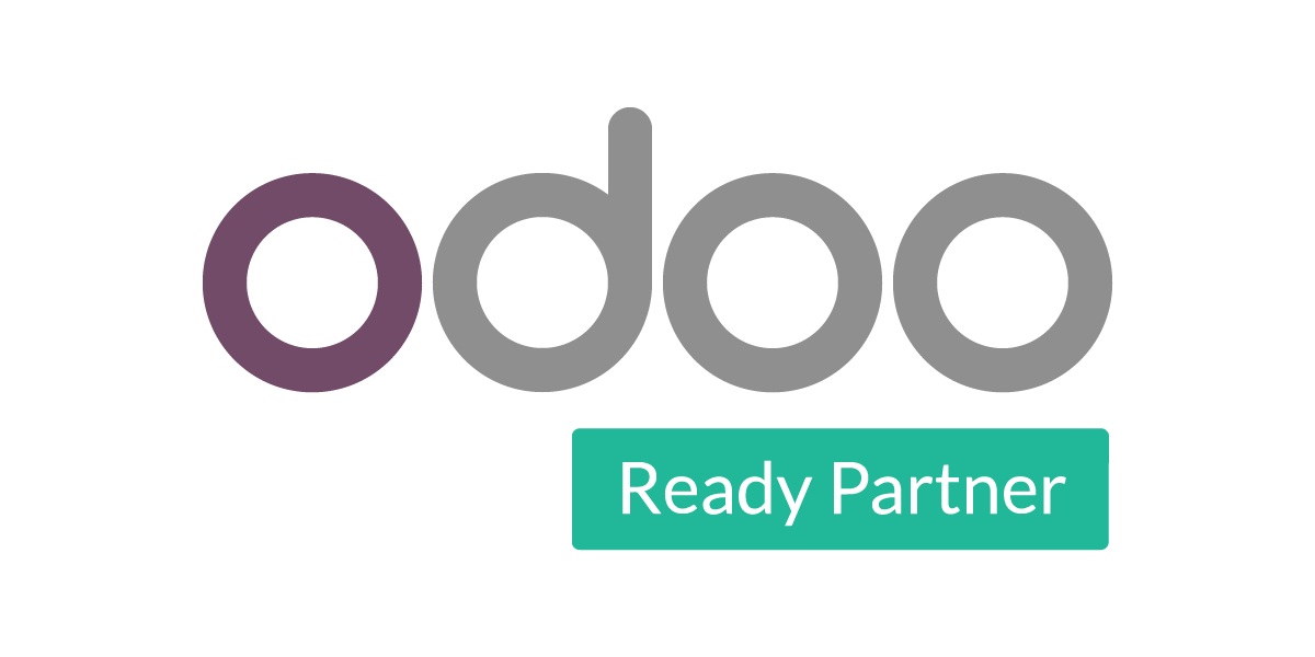 Official Odoo Partner ERP implementation and hosting Egypt